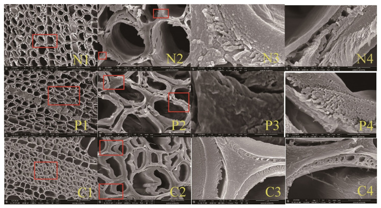 PMC8585399 – materials-14-06384-f009