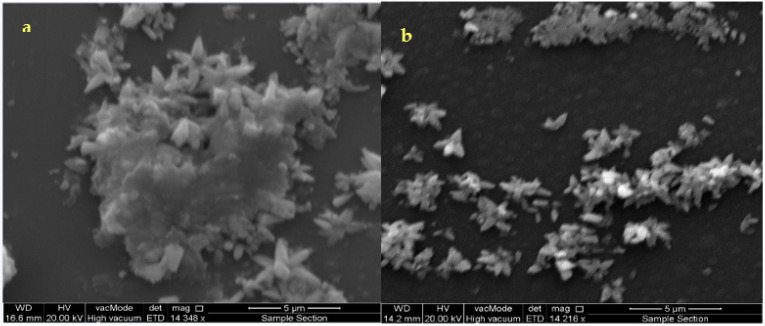 PMC8619960 – materials-14-06748-f003