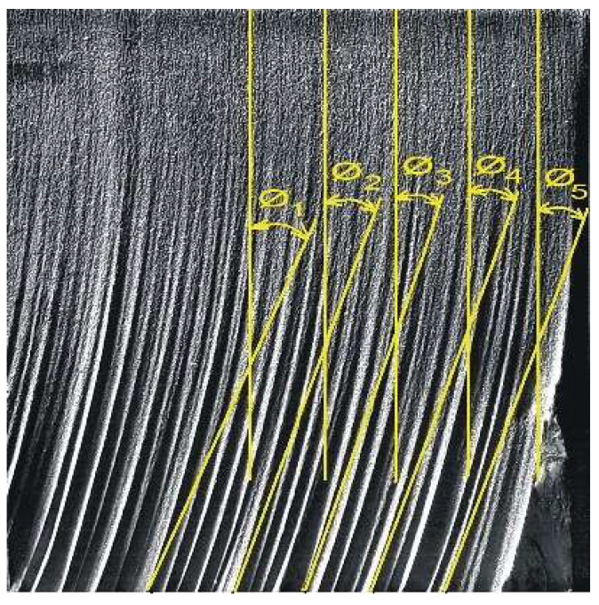 PMC8875222 – materials-15-01381-f004