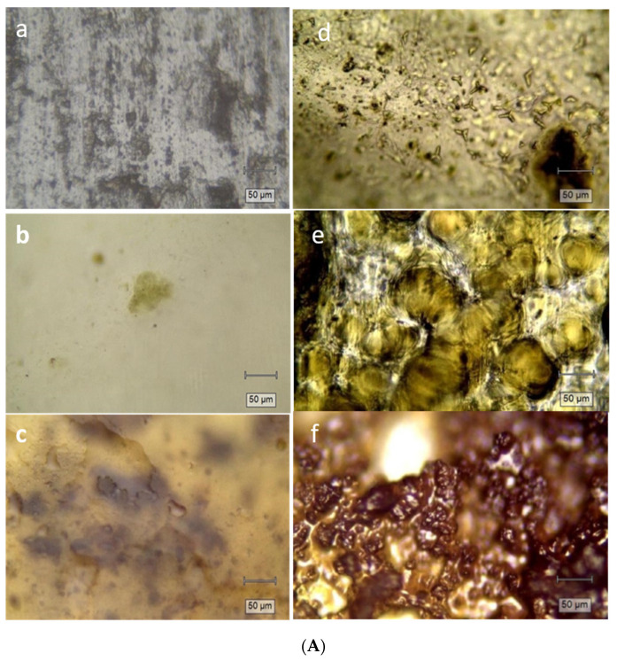 PMC9000143 – materials-15-02493-f005