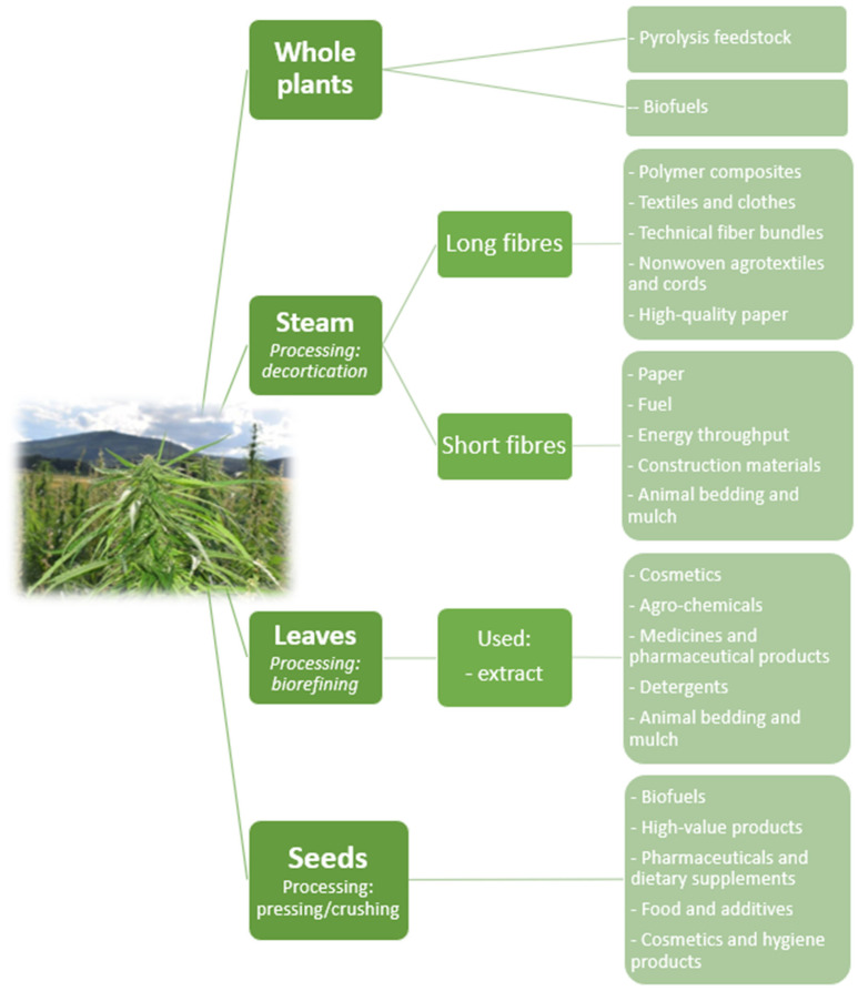PMC9000560 – materials-15-02565-f006