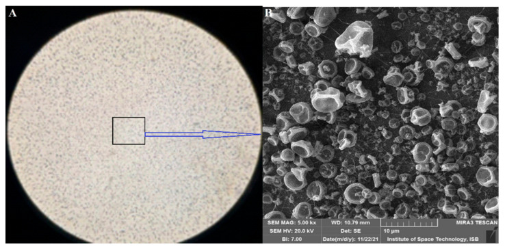 PMC9267282 – materials-15-04622-f007