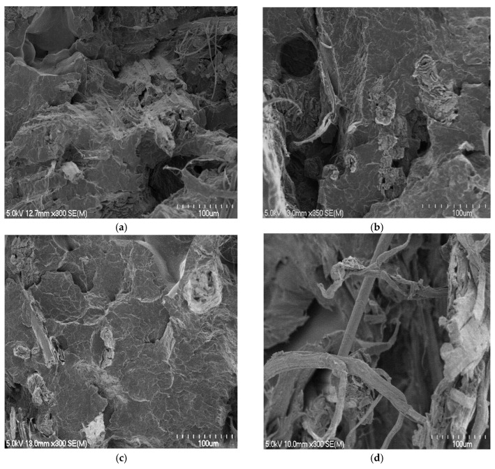 PMC9412413 – materials-15-05587-f007