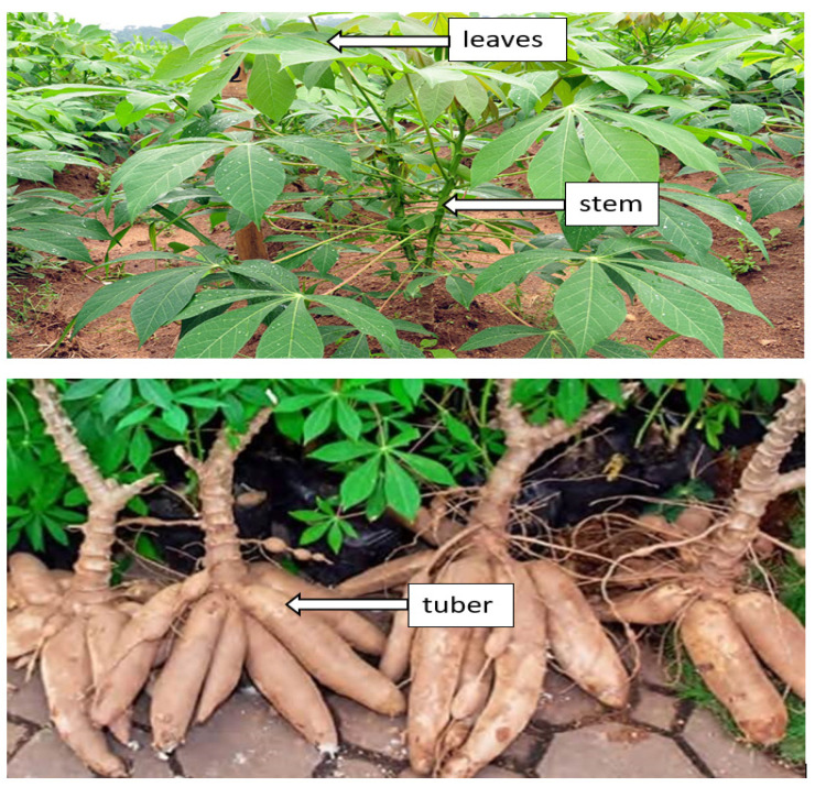 PMC9571773 – materials-15-06992-f003