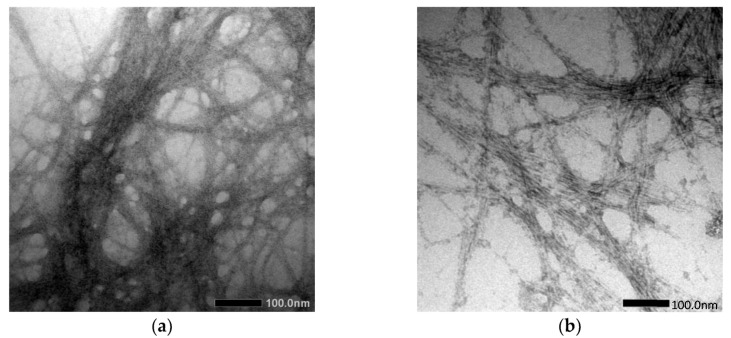 PMC9571773 – materials-15-06992-f005