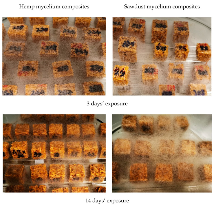 PMC9653859 – materials-15-07608-f005