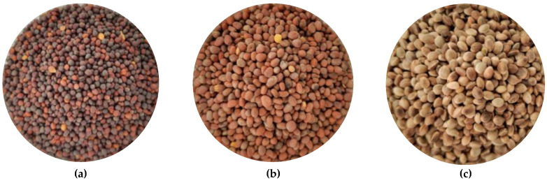 PMC9785633 – materials-15-08891-f002