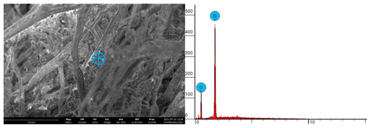 PMC9784476 – materials-15-08964-f005