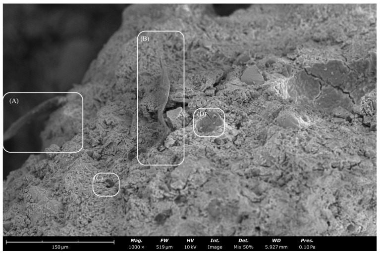 PMC9784476 – materials-15-08964-f008