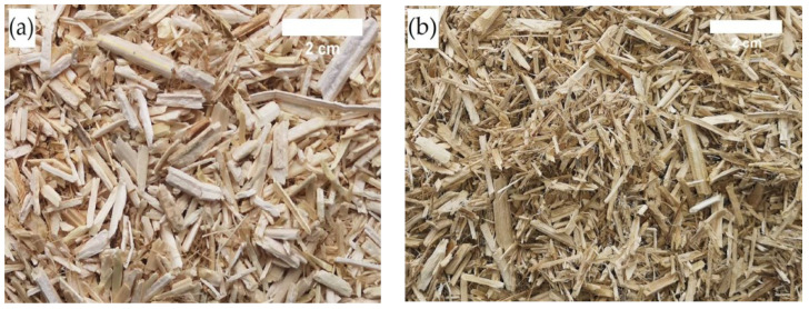 PMC10381758 – materials-16-05003-f005