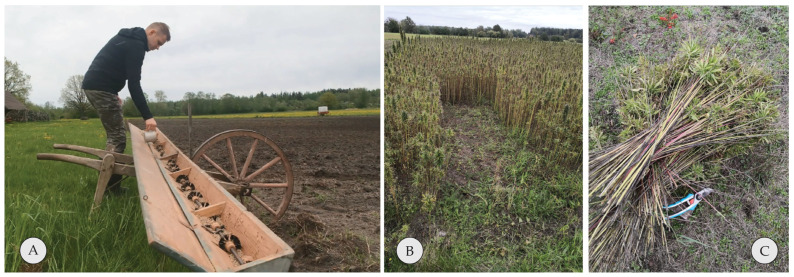 PMC10420129 – materials-16-05316-f002