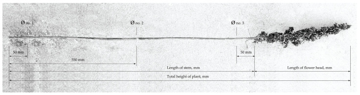 PMC10420129 – materials-16-05316-f003