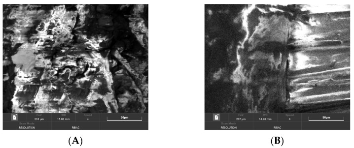 PMC10420129 – materials-16-05316-f008