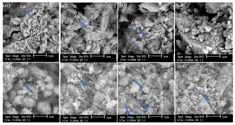 PMC10456383 – materials-16-05561-f009
