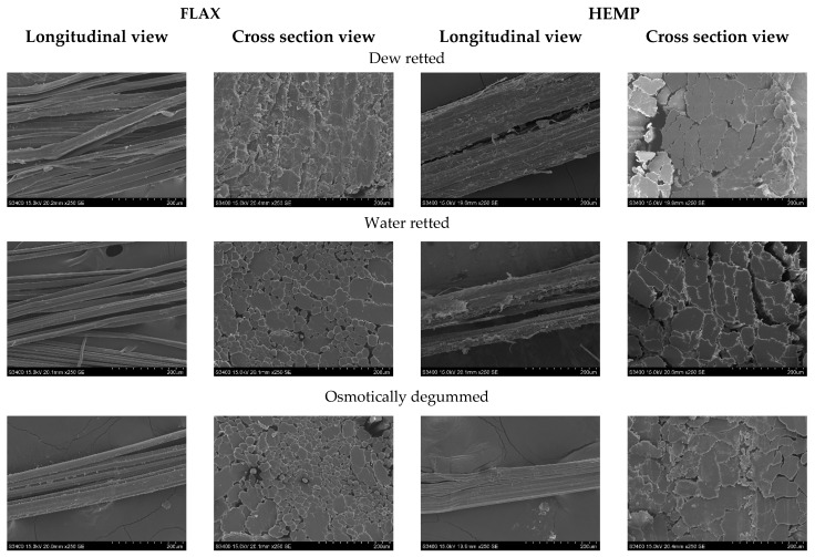 PMC10707260 – materials-16-07436-f006