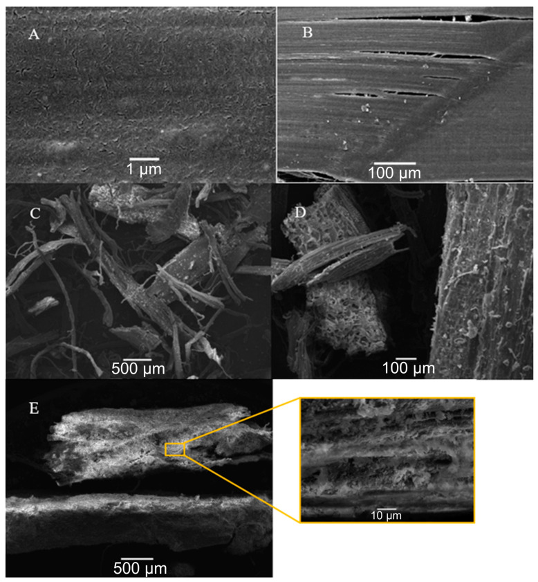 PMC10890165 – materials-17-00817-f015