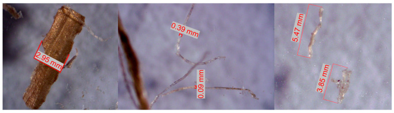 PMC10890165 – materials-17-00817-f019