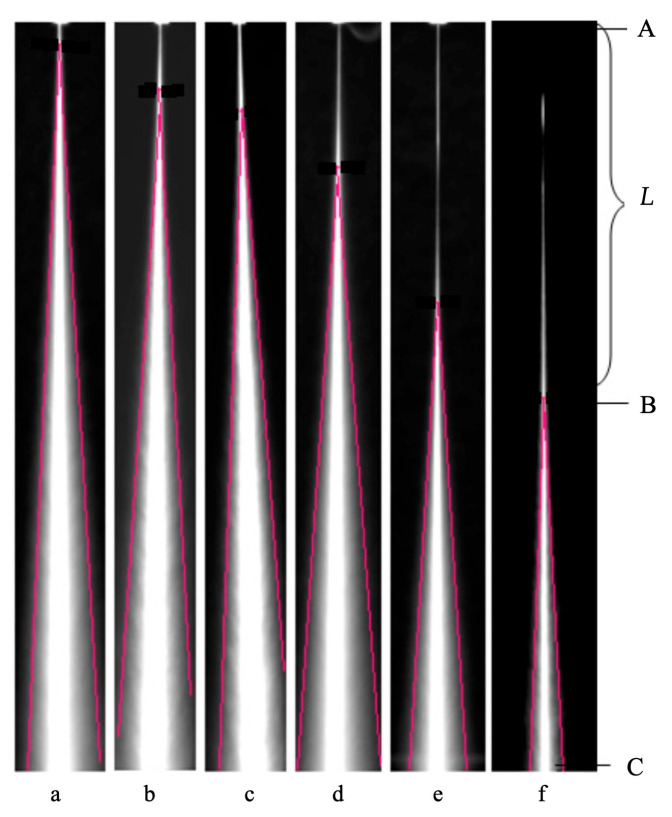 PMC10972017 – materials-17-01328-f020