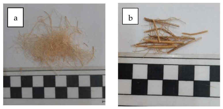 PMC11433507 – materials-17-04461-f001