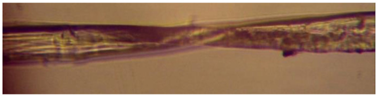 PMC11477633 – materials-17-04871-f002