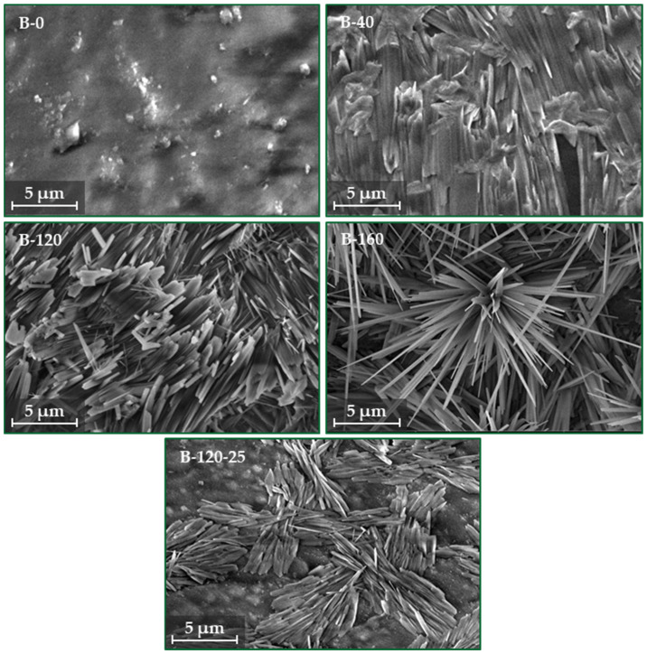 PMC11478252 – materials-17-04911-f004