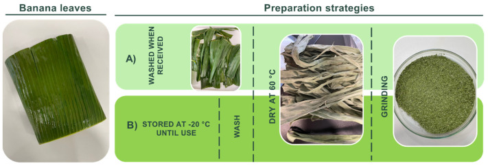 PMC11642532 – materials-17-05884-f001