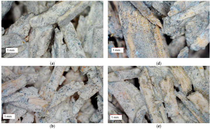 PMC11643556 – materials-17-05890-f006