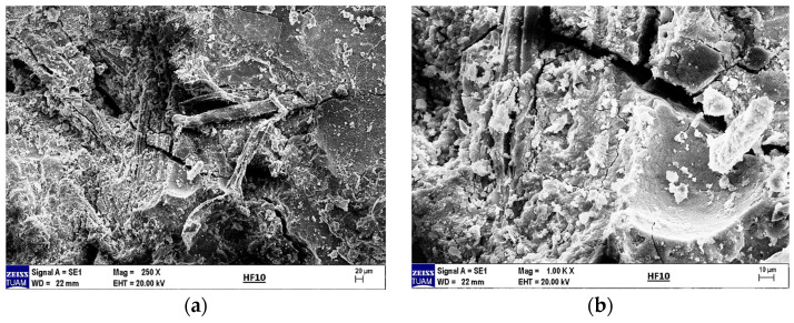 PMC12156192 – materials-18-02536-f023