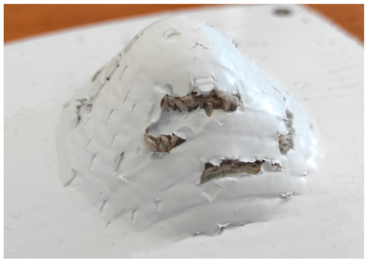 PMC12194313 – materials-18-02688-f007