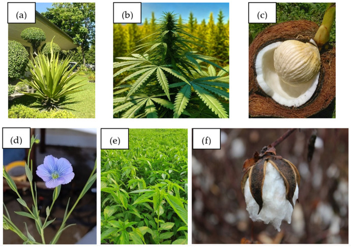 PMC12387356 – materials-18-03803-f005