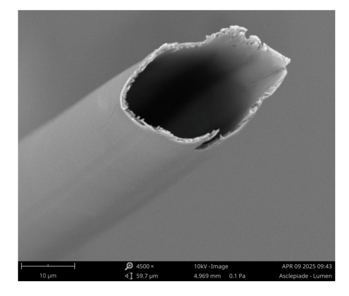 PMC12387720 – materials-18-03821-f001