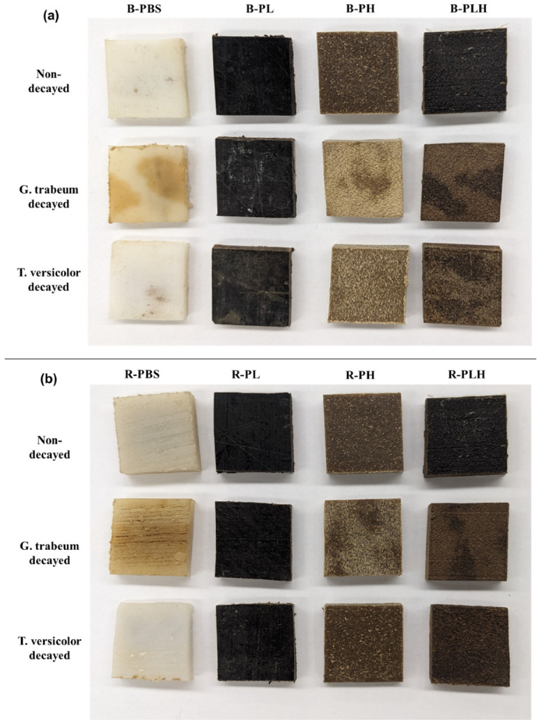 PMC12843226 – materials-19-00275-f009