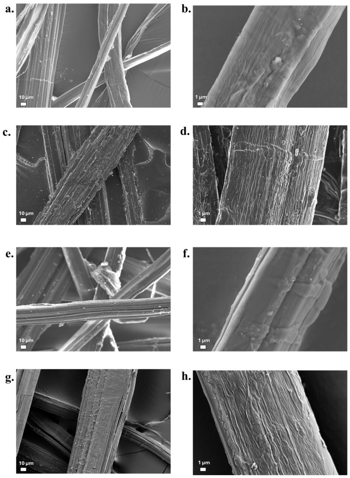 PMC13117913 – materials-19-01573-f010
