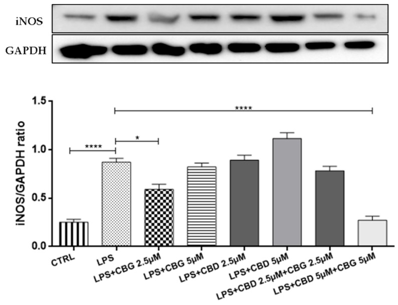 PMC6915685 – medicina-55-00747-f005