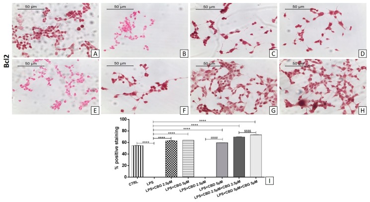 PMC6915685 – medicina-55-00747-f008