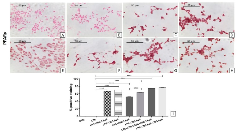 PMC6915685 – medicina-55-00747-f009