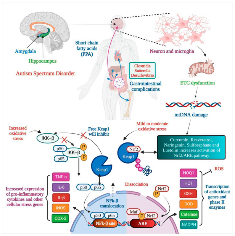 PMC10536417 – medicina-59-01584-f001