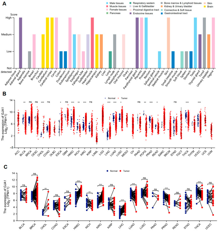 PMC11123162 – medicina-60-00780-f001