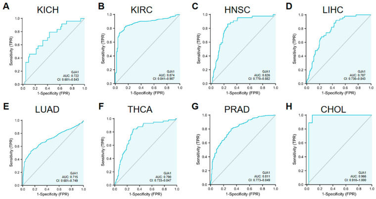 PMC11123162 – medicina-60-00780-f002