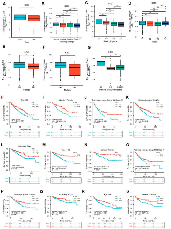 PMC11123162 – medicina-60-00780-f004