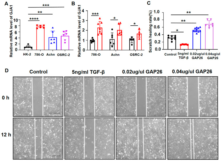 PMC11123162 – medicina-60-00780-f005