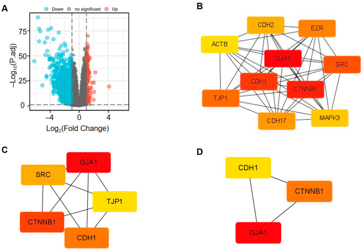 PMC11123162 – medicina-60-00780-f006