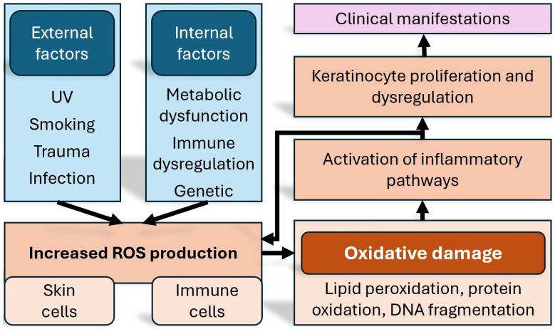 PMC12299924 – medicina-61-01296-f001
