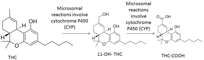 PMC6473697 – medicines-06-00031-f002