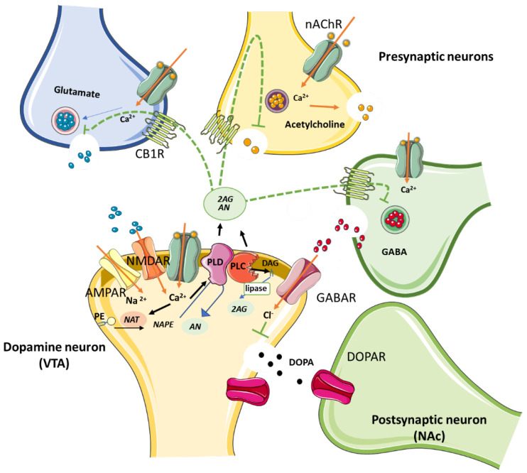 PMC9414690 – membranes-12-00812-f001