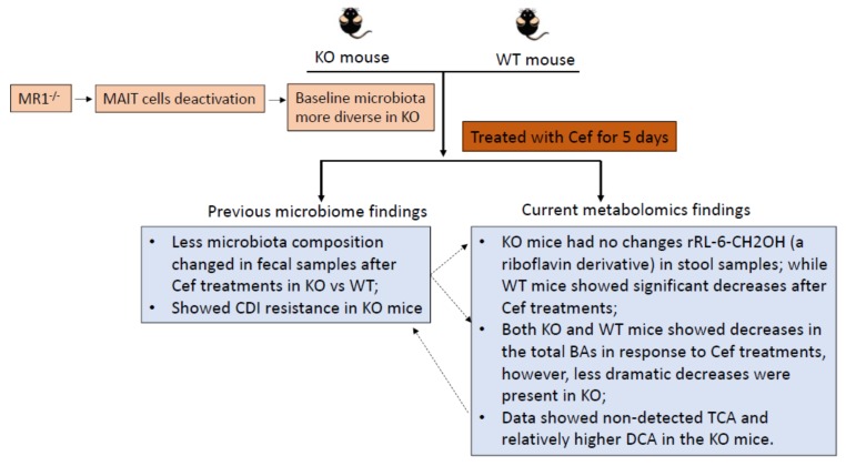 PMC7241087 – metabolites-10-00127-f005