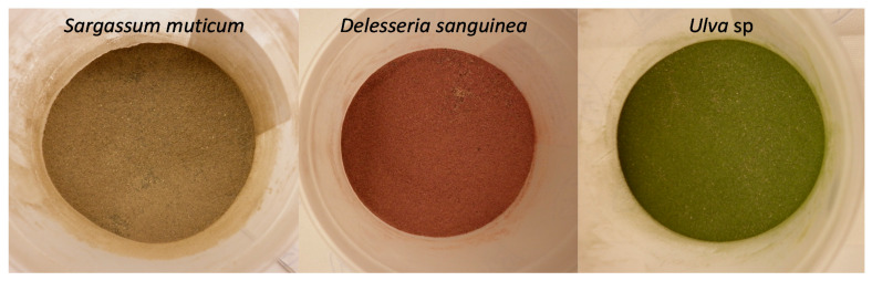 PMC8146358 – metabolites-11-00259-f006