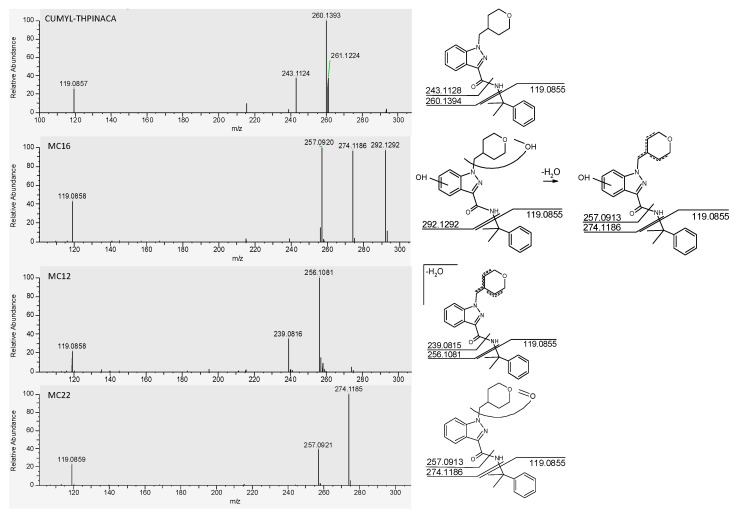 PMC8398790 – metabolites-11-00470-f003
