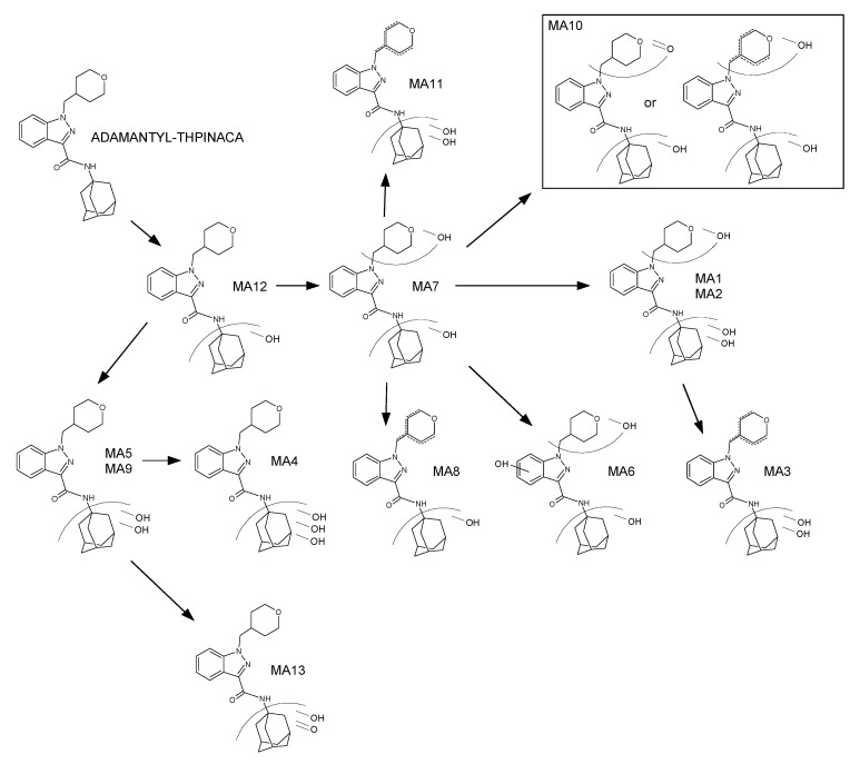 PMC8398790 – metabolites-11-00470-f005