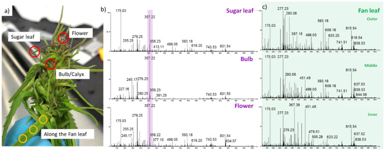 PMC9227750 – metabolites-12-00480-f002